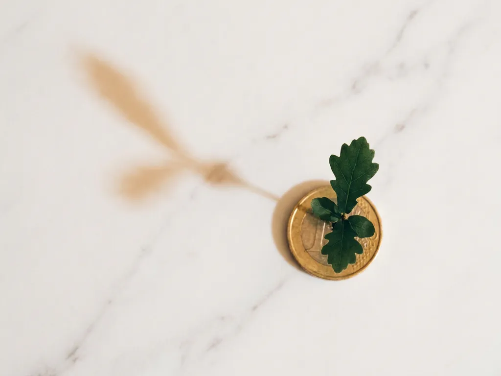 Junger Eichensetzling wächst aus einer Goldmünze auf weißem Marmor, weiches Morgenlicht, minimalistisches Flatlay.